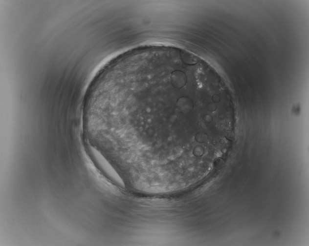 X0000113060984200909181956