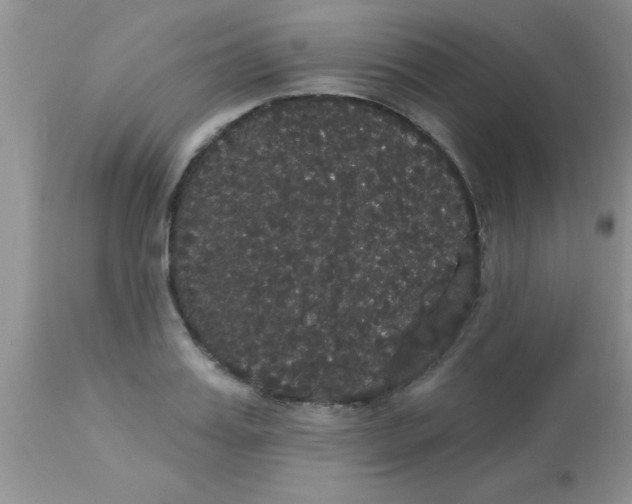 X0000113060987200909181956