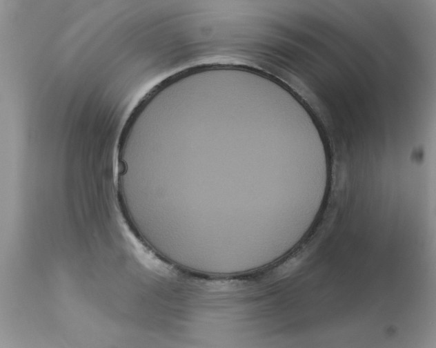 X0000113060988200909181956