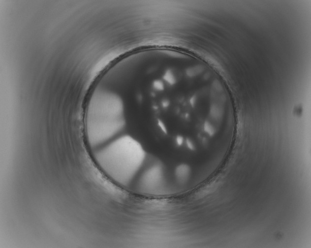 X0000113060990200909181956