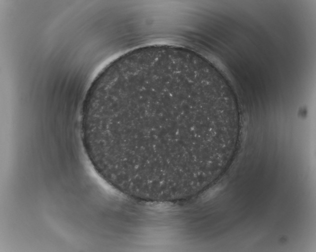 X0000113060991200909181956