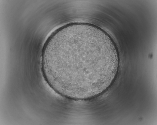 X0000113060992200909181956