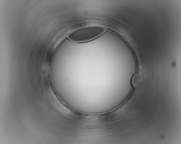 X0000113060993200909181956