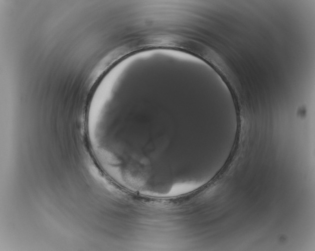 X0000113060994200909181956