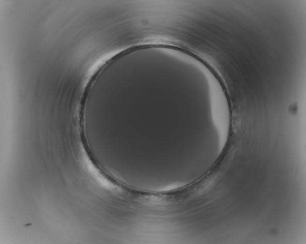 X0000113060995200909181956
