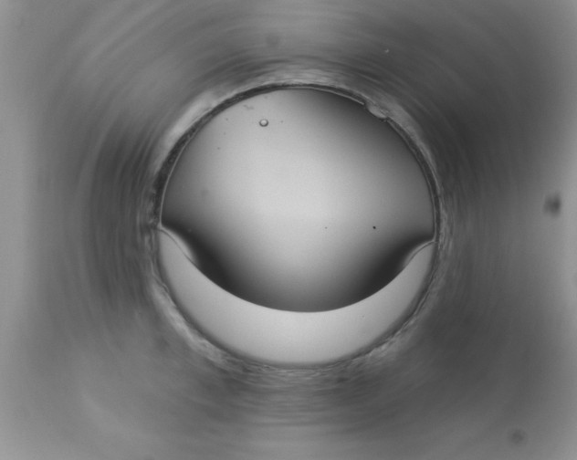 X0000113060997200909181956