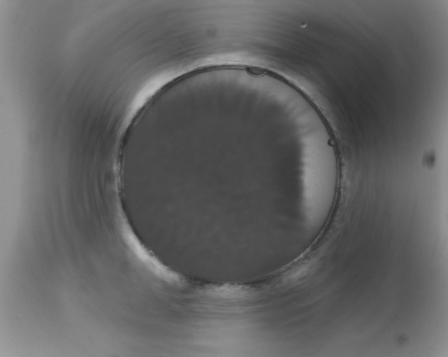 X0000113060998200909181956