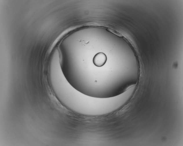 X0000113061000200909181956