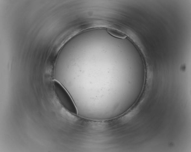 X0000113061001200909181956