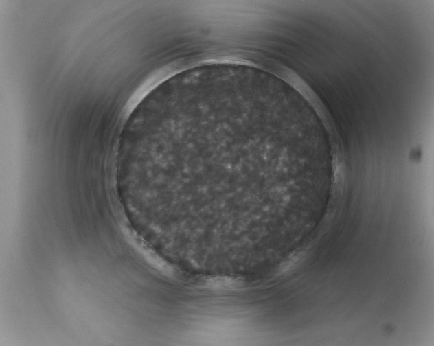 X0000113061002200909181956