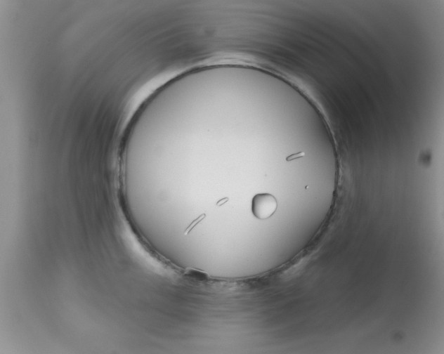 X0000113061003200909181956