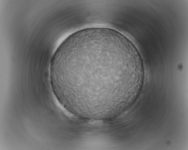 X0000113061006200909181956