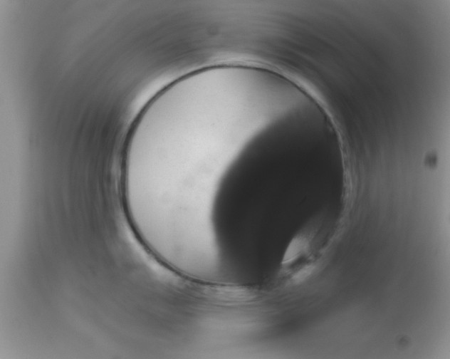 X0000113061007200909181956