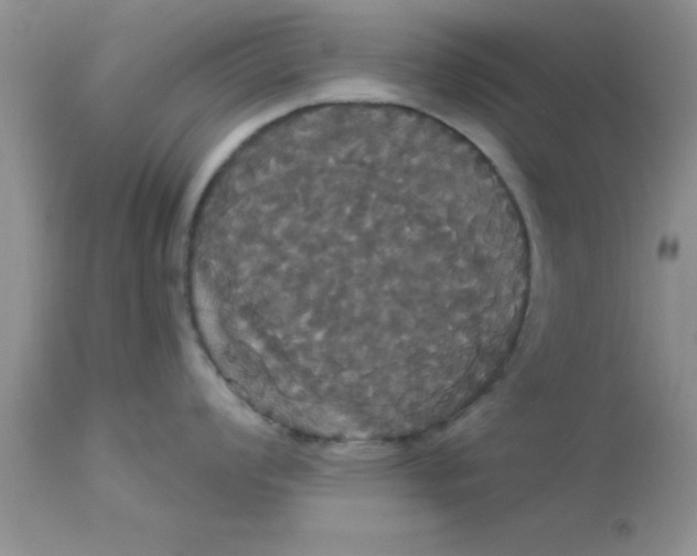 X0000113061008200909181956