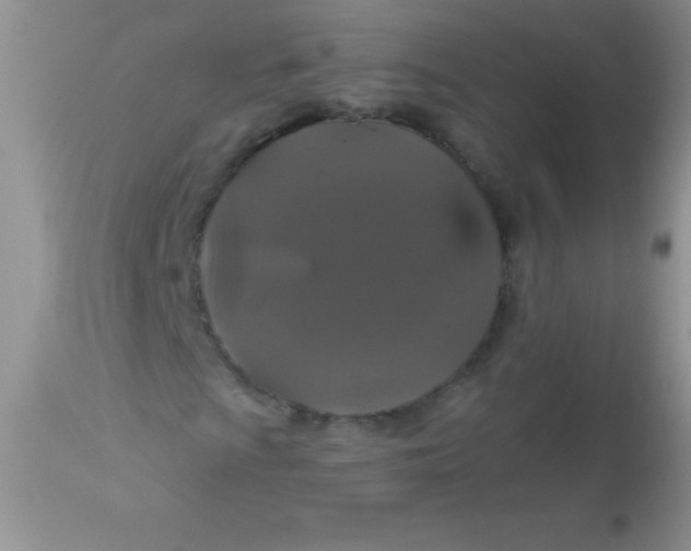 X0000113061009200909181955