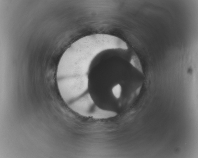 X0000113061010200909181955