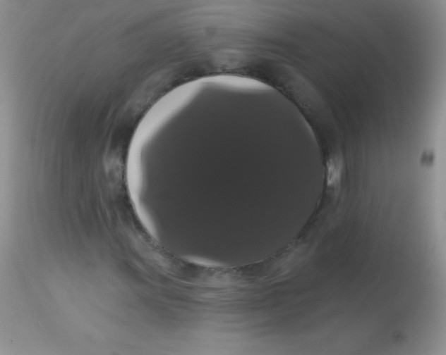 X0000113061011200909181955