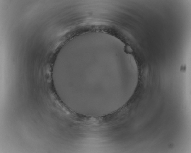 X0000113061013200909181955