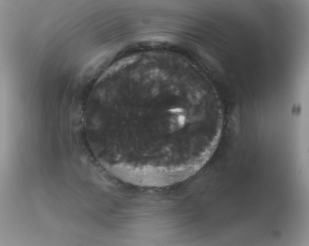 X0000113061014200909181955