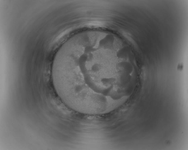 X0000113061015200909181955