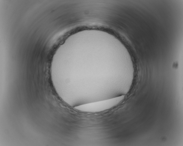 X0000113061016200909181955