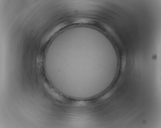 X0000113061017200909181955
