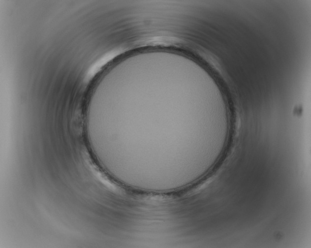 X0000113061018200909181955