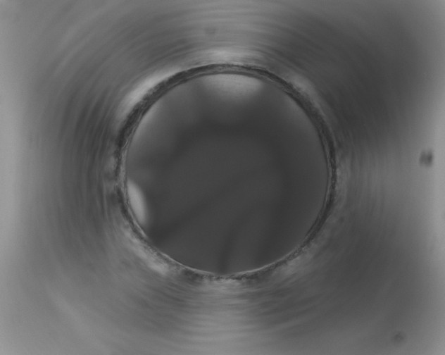 X0000113061019200909181955