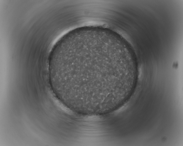 X0000113061021200909181955