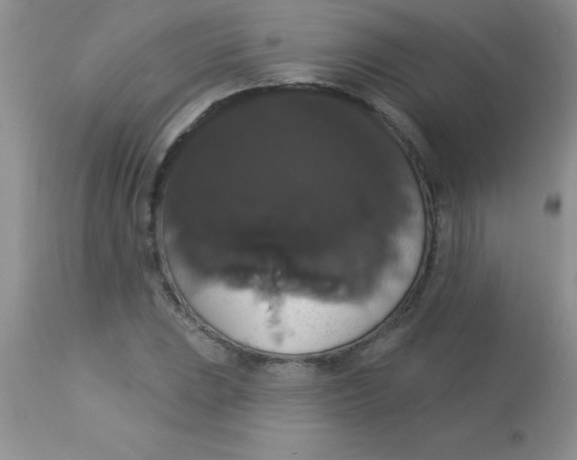 X0000113061023200909181955