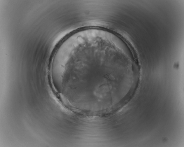X0000113061024200909181955