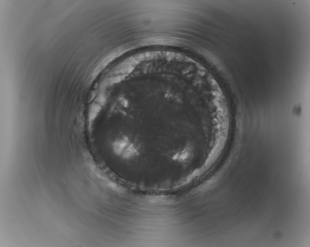 X0000113061025200909181955