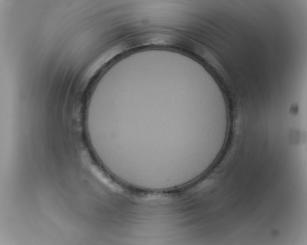 X0000113061026200909181955