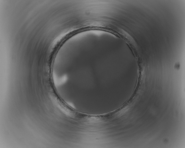 X0000113061027200909181955