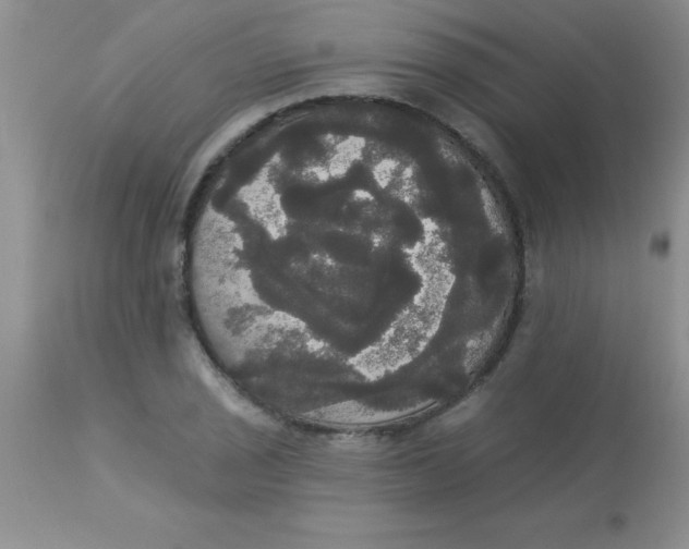 X0000113061029200909181955