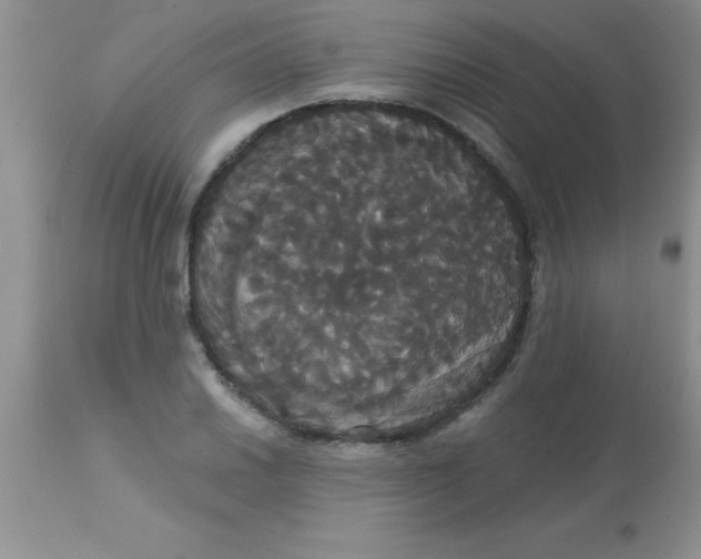 X0000113061030200909181955