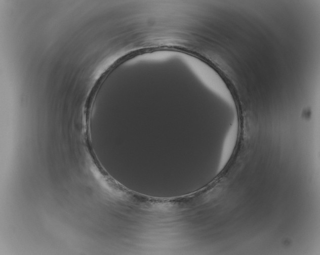 X0000113061031200909181955