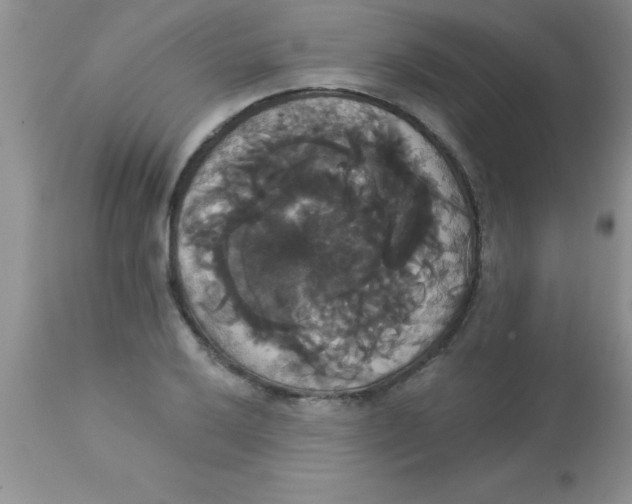 X0000113061032200909181955