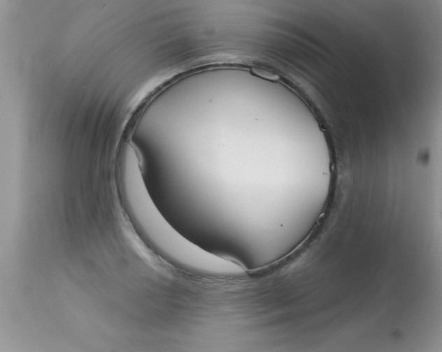 X0000113061034200909181956