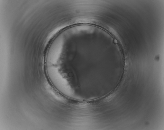 X0000113061035200909181956