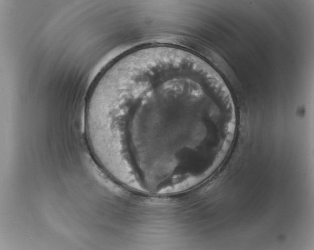 X0000113061036200909181956