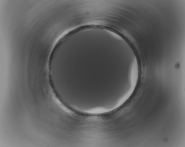 X0000113061037200909181956