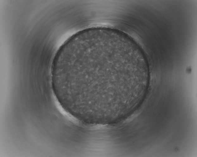 X0000113061038200909181956