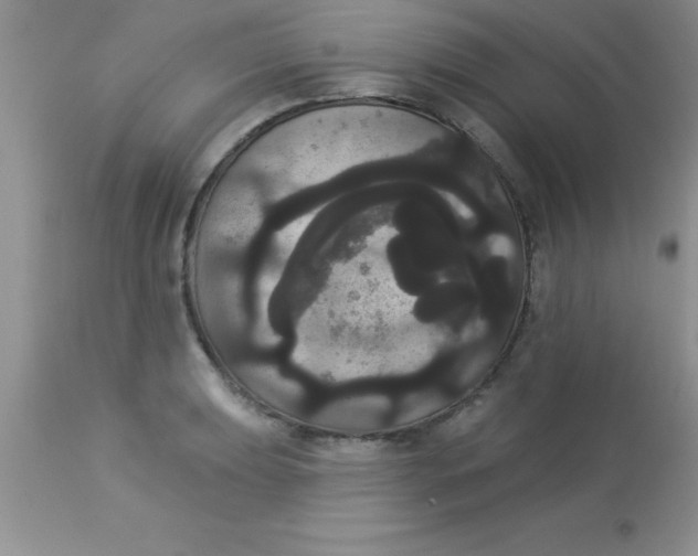 X0000113061039200909181956