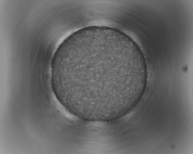 X0000113061040200909181956