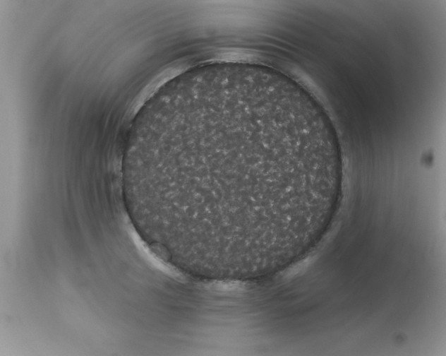 X0000113061041200909181956