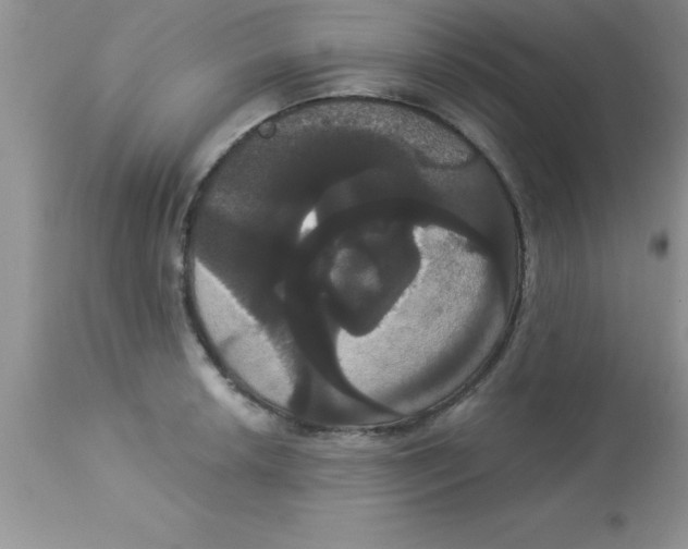 X0000113061042200909181956