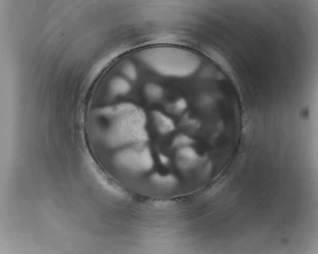 X0000113061043200909181956