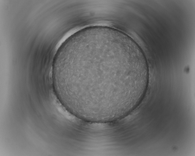 X0000113061044200909181956