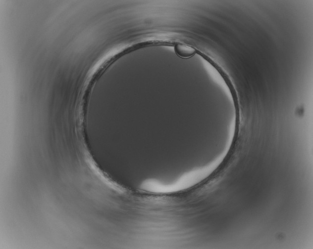 X0000113061045200909181956